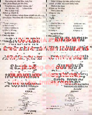 BÁN NHÀ AN BÌNH MỚI TINH, SỔ HỒNG RIÊNG THỔ CƯ, ĐƯỜNG OTO THÔNG THOÁNG