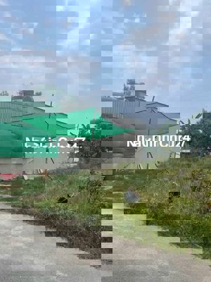 Đất  An Thái đường nhựa 7m,gần chợ,trường,UBND,đất 200m2 có 100tc,SHR