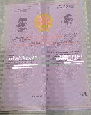 Đất đẹp mặt đường 39 tại khu sầm uất Thái Thịnh