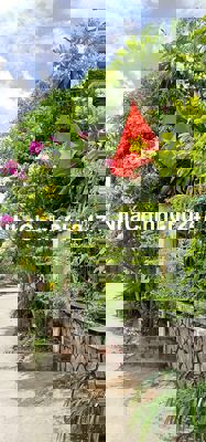 Cần bán căn biệt thự 2 MT xe tải 5T+2 dãy trọ 800m² thổ cư