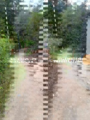 GẤP BÁN ,168M2 ĐẤT ONT ,HXH, LONG TÂN ,NHƠN TRẠCH,GẦN VD3, KẾ SWANPAK