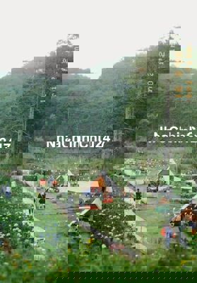 Hàng ngộp bán rẻ 1200m2 giá 450 triệu tiện phân lô view rừng thông đẹp