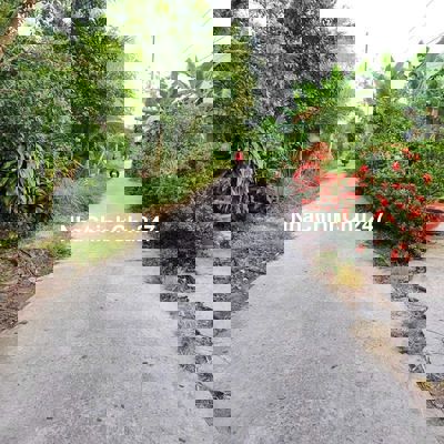 228m2 ĐẤT THỔ CƯ NGAY BẾN XE RẠCH SỎI KIÊN GIANG GIÁ CHỈ 799TR QUÁ RẺ