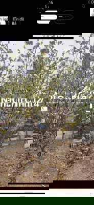 ĐẤT CHÍNH CHỦ (789m2) giá bán (1ty990 triệu)