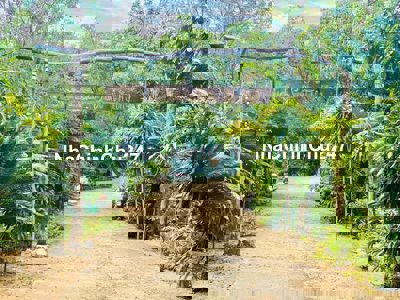 Du lịch Sinh Thái , 5Ha , Định Cư Mỹ Cần Bán