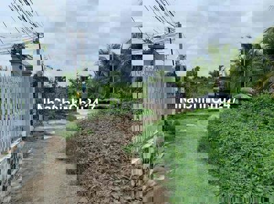 BÁN ĐẤT VƯỜN DỪA  1000M2 NGAY KDC LỘ TẬP ĐOÀN - ĐƯỜNG XE TẢI