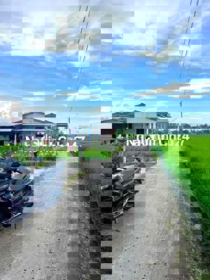 1000m2 lúa - Đường xe hơi ở xãz Lạc Tấn