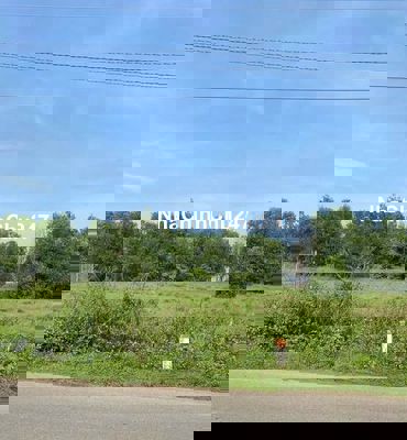 Chính chủ cần bán gấp 2 lô đất đẹp để xoay tiền tại BRVT