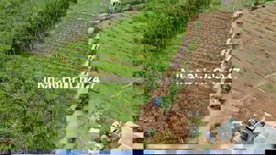 Bán lỗ 1 lô 270 triệu, sổ sẵn, thổ cư, đối diện nhà dân, đường xe ô tô