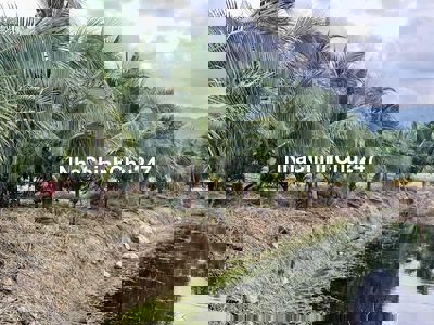 EM CHÍNH CHỦ GIẢM TỪ 18TỶ CÒN 14TỶ BÁN GẤP NHÀ VƯỜN TRÁI CÂY VIEW ĐẸP