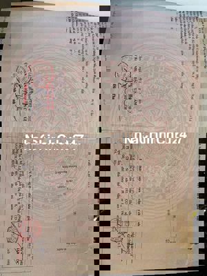 chính chủ cần bán đất đường 7m5 nguyễn Đoá, Hoà Xuân