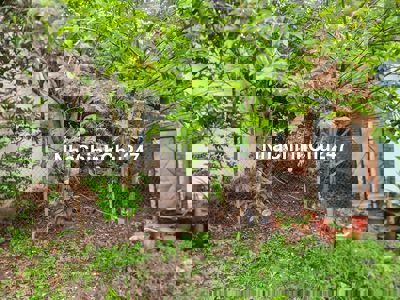 MT 489, 6x55m 120m thổ cư , chủ bán gấp , vị trí kinh doanh tốt