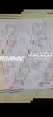 chinh chu ban dat cay lau nam nghi duong