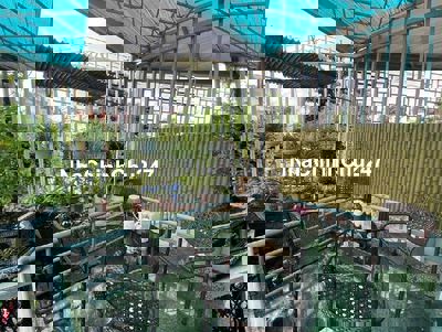 Bán nhà MT đường 385, Tăng Nhơn Phú A, Thủ Đức, 7 tỷ, Chủ ghẹt Bank