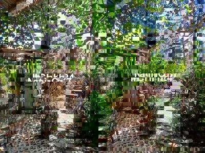 CHỦ GỞI BÁN LÔ ĐẤT KHU NHÀ Ở BCR TAM ĐA TRƯỜNG THẠNH Q9 CHÀO 7.5 TỶ TL