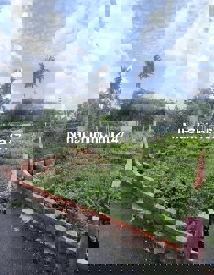 CHỦ CẦN THANH KHOẢN đất nền Đường 102, Tăng Nhơn Phú A, Thủ Đức, 5.2tỷ