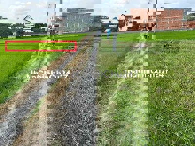 Đất thổ cư sổ hồng chính chủ 5x30 giá 700tr