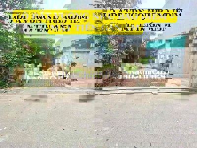 Chính chủ bán đất Thụy Lâm Đông Anh, 74.7m² vuông đẹp, ô tô vào tận nơ