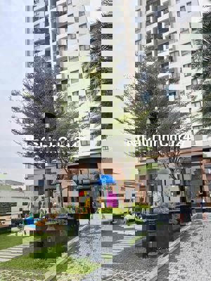 Chính chủ bán gấp 65m 2pn 2wc full noi that quận 6 saigon asiana