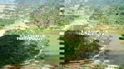 Chính chủ bán đất ngay gần UBND xã Nam Ninh, Cát Tiên Lâm Đồng