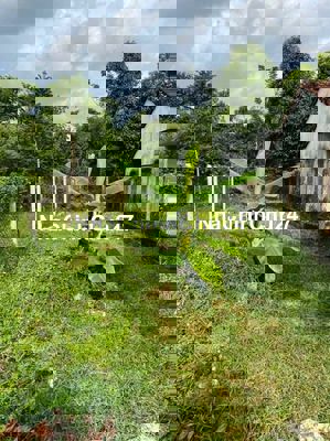 CHỦ NGỘP CẦN BÁN NHANH LÔ ĐẤT DT6x25M (150M²) – GIÁ CHỈ 430 TRIỆU