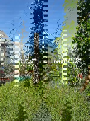 Chính Chủ Bán Đất Thổ Cư 175 M2 -1/ Ngắn Gò Hưu 30 Met