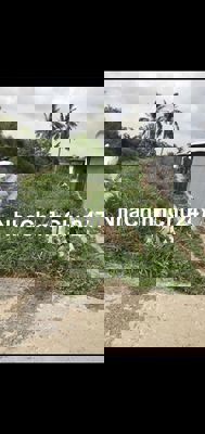 Chính chủ Bán đất mặt tiền đường lớn - Cơ hội vàng đầu tư