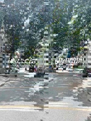 CHỐT NHANH 3TỶ9, LÔ GÓC 120m2 NGANG CHUẨN 8m, CHỦ BÁN GẤP TRONG TUẦN