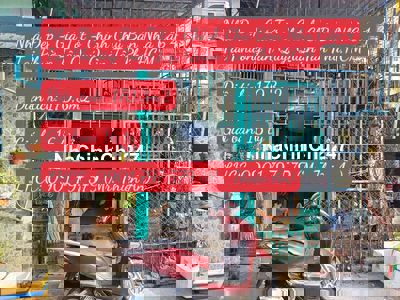 Chính Chủ Bán Nhà Cấp 4 Tại Phường Tân Quý, Quận Tân Phú, Hồ Chí Minh