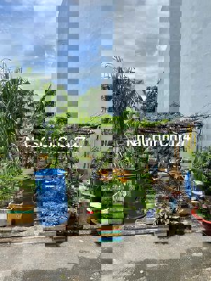 CHÍNH CHỦ cần bán đất sổ riêng đường Lã Xuân Oai, 55m2, đường xe hơi