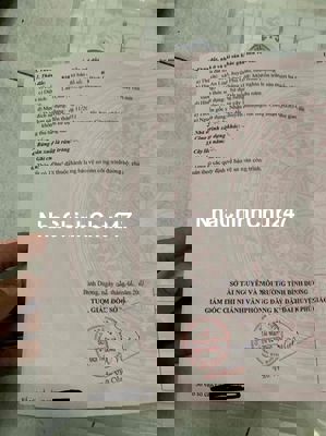 đất 9 chủ an linh trên đường Dh 509 vô đường bến cây