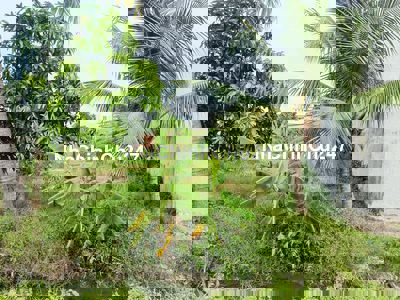 CHÍNH CHỦ CẦN BÁN LÔ ĐẤT FULL THỔ CƯ TẠI MỸ HẠNH NAM