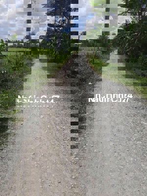 Chính Chủ 500m2 Đất vườn