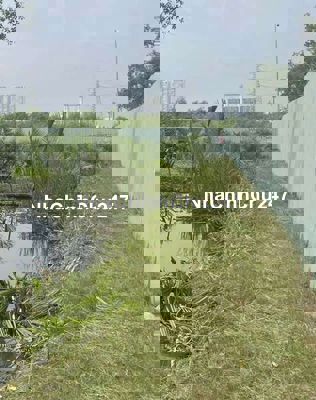 Chính chủ bán gấp 1.000m2 đất nông nghiệp, P Phú Thuận, Quận 7 giá rẻ