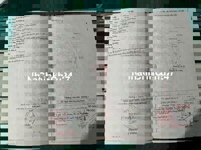 💥 Chủ Ngộp Ngân Hàng – Đất Đẹp 100m²  – Sát KCN VSIP 3 – Chỉ Từ 1 Tỷ!!