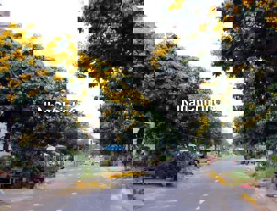 CHỦ KẸT TIỀN BÁN GẤP NỀN ĐẤT KHU DÂN CƯ PHONG PHÚ 4.