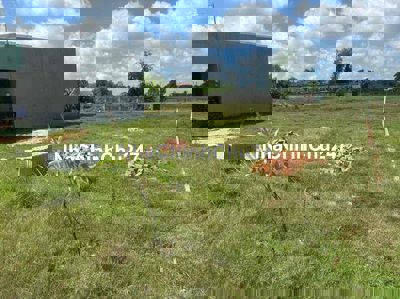 Chủ Kẹt Tiền Bán Gấp Lô Đất Củ Chi Giá 530 Triệu