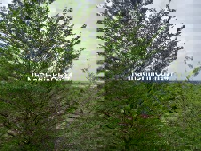 Chính chủ cho thuế Căn hộ Ehome4  giá hấp dẫn