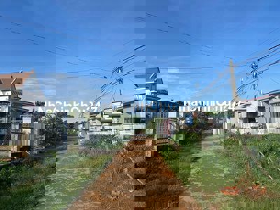 Chính chủ bán gấp đất 1 năm thu 3 vụ (tiêu , cf, điều) hơn 9 sào.