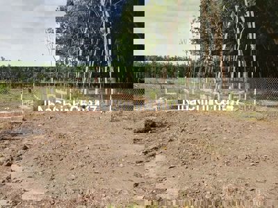 Chủ bán lô đất diện tích 653m2 gtaij Phường Hòa Lợi, Bến Cát