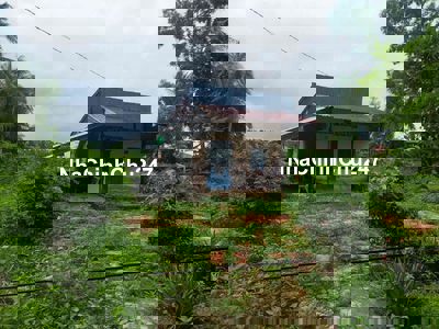 Bán đất chính chủ DT hơn 5000m2.