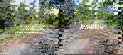 CHỦ GỞI BÁN LÔ ĐẤT DT 15.000 M2 TẠI BÌNH HÒA NAM