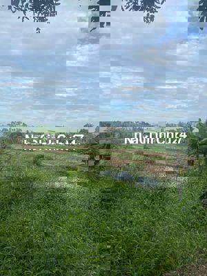 Chính chủ cần bán đất khu trung tâm huyện Bình Chánh, diện tích lớn