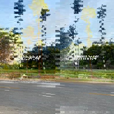 EM CHÍNH CHỦ CẦN BÁN ĐẤT MẶT TIỀN KHU CÂY XOÀI GẦN TUYẾN TRÁNH CHỢ T3