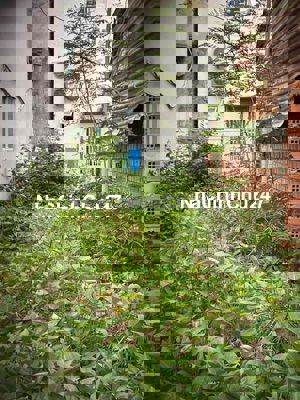 CHÍNH CHỦ CẦN BÁN LÔ ĐẤT KHU DÂN CƯ HIỆN HỮU CHUYÊN DÙNG CHÍNH - Q7✅