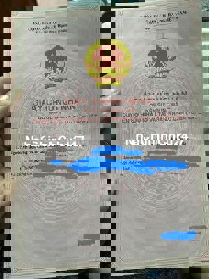 Chính chủ đất trồng cây lâu năm mặt tiền đường Hùng Vương, Nhơn Trạch,