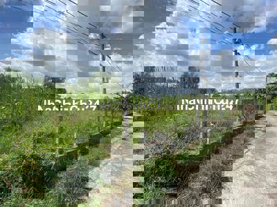 CHÍNH CHỦ bán gấp 132m2 Full thổ cư đường xe hơi giá 2ti350