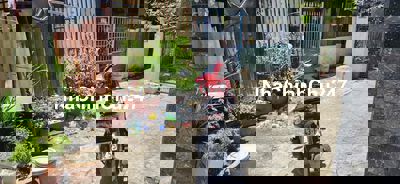 Cần bán đất kiệt Nguyễn Phước Nguyên, giá chính chủ.