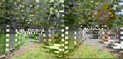 Chính chủ - đất Long Thịnh - Bến Cầu, thổ cư 100% khu dân cư đông