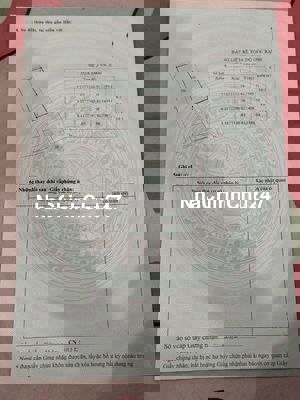 Chính Chủ Cần Bán Đất Xã Bình Khánh, Cần Giờ, Hồ Chí Minh